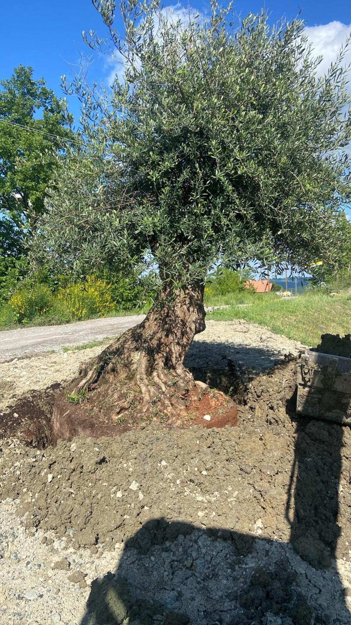 Agriturismo Cergallina Vernasca Luaran gambar
