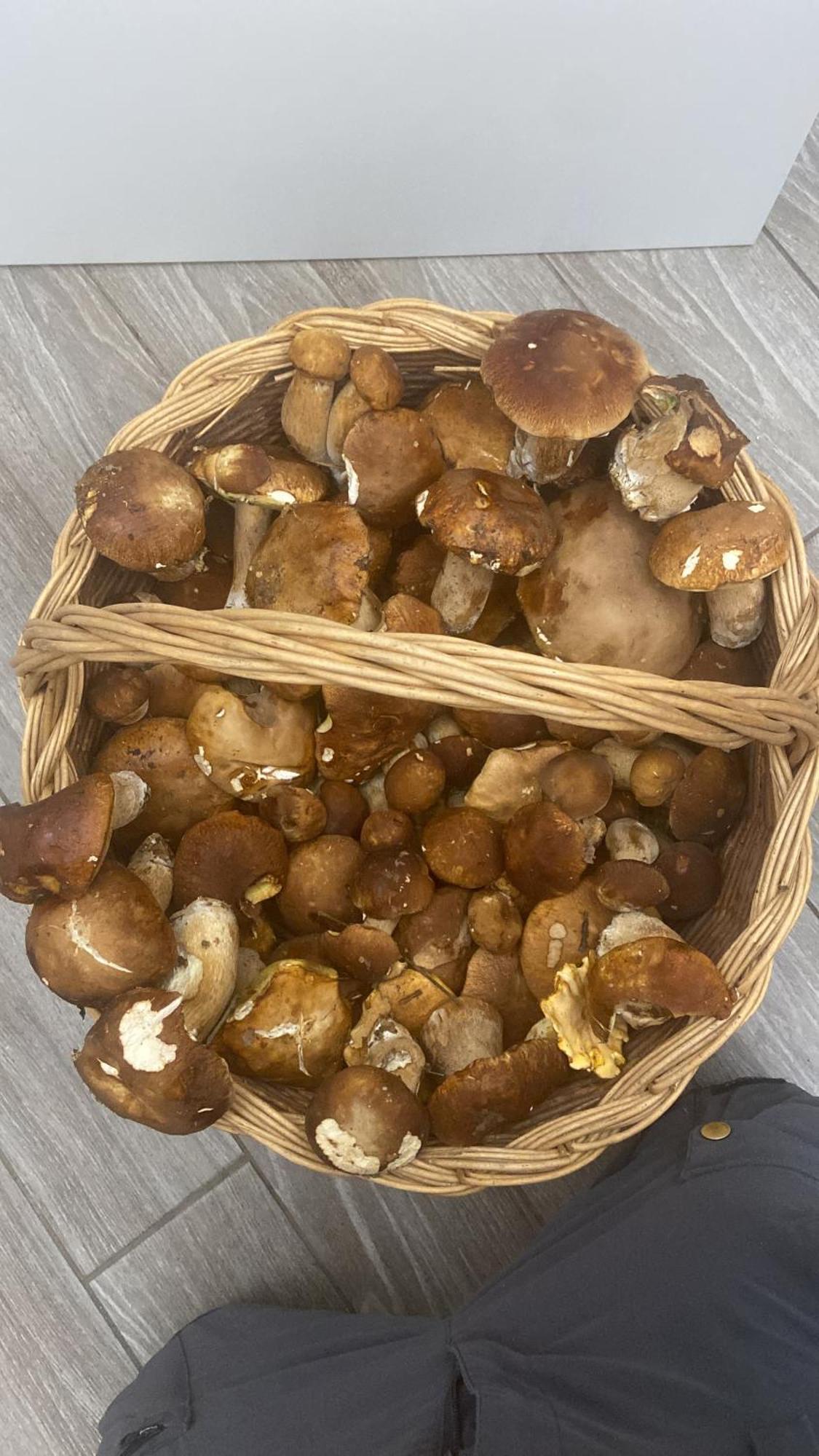 Agriturismo Cergallina Vernasca Luaran gambar