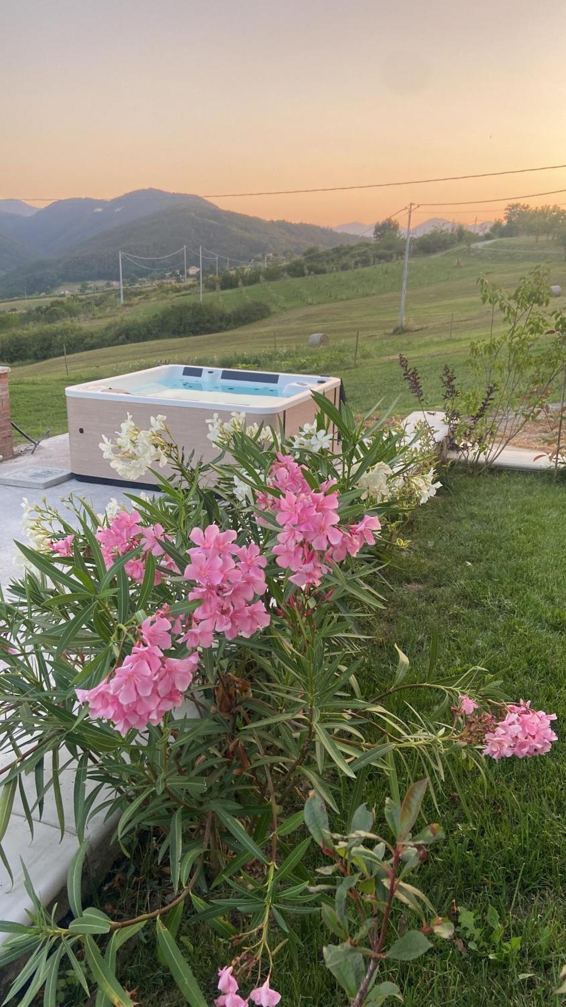 Agriturismo Cergallina Vernasca Luaran gambar